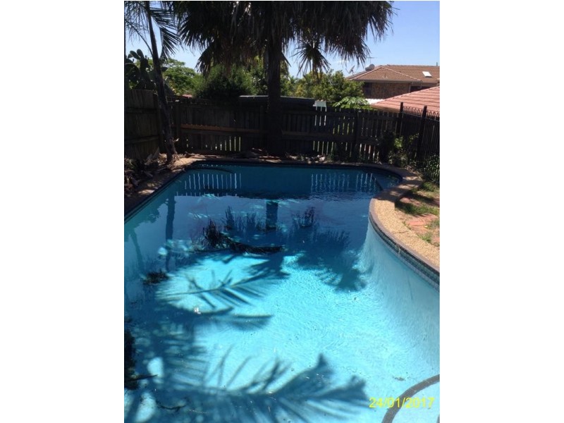 16 Goorong Street, Sunnybank Hills QLD 4109