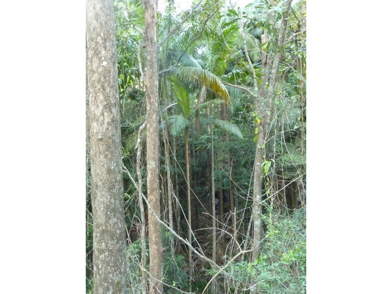 308 – 310 Avalon Road, Sheldon QLD 4157