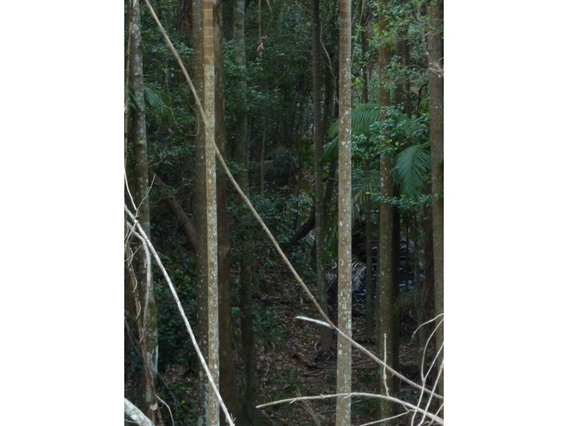 308 – 310 Avalon Road, Sheldon QLD 4157