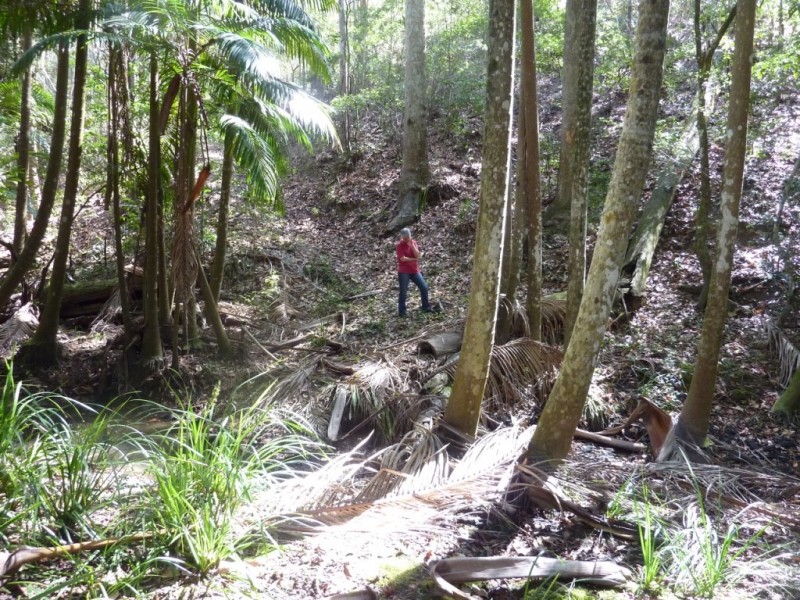 308 – 310 Avalon Road, Sheldon QLD 4157