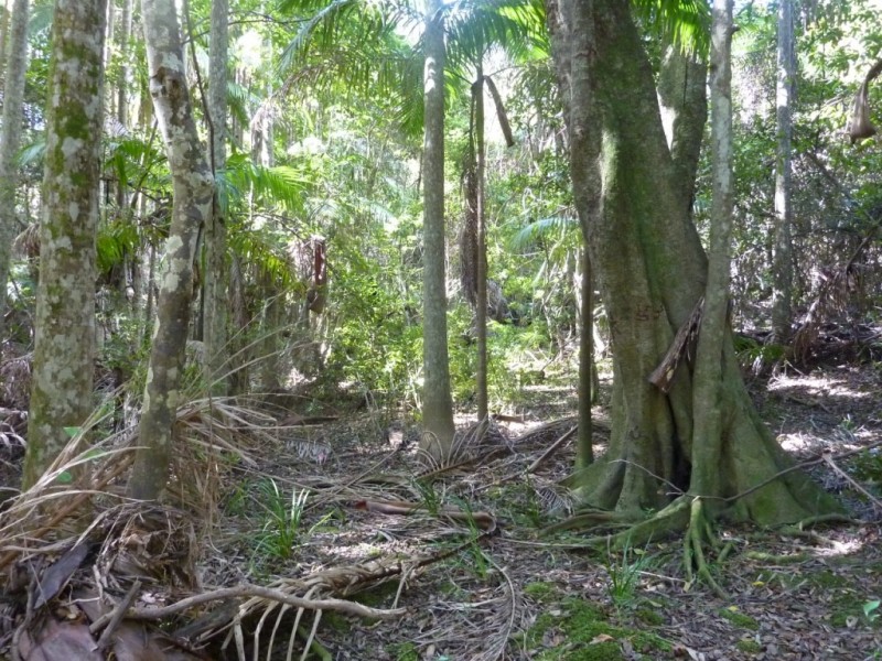 308 – 310 Avalon Road, Sheldon QLD 4157