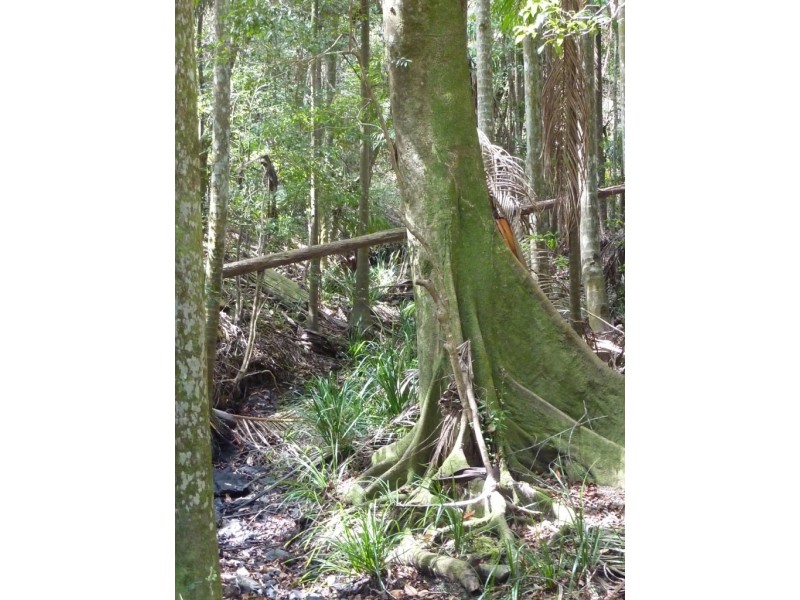 308 – 310 Avalon Road, Sheldon QLD 4157