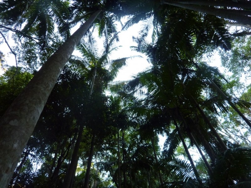 308 – 310 Avalon Road, Sheldon QLD 4157