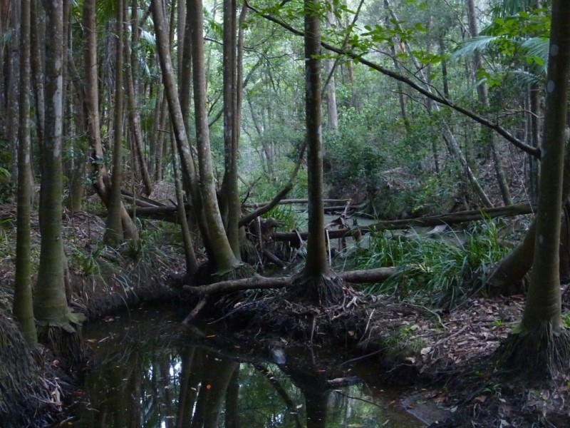 308 – 310 Avalon Road, Sheldon QLD 4157