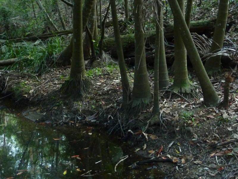 308 – 310 Avalon Road, Sheldon QLD 4157