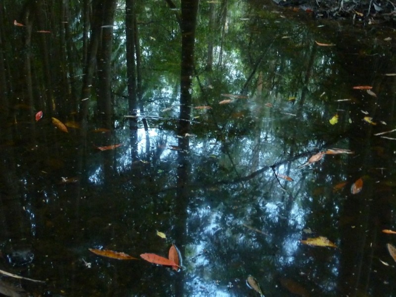 308 – 310 Avalon Road, Sheldon QLD 4157