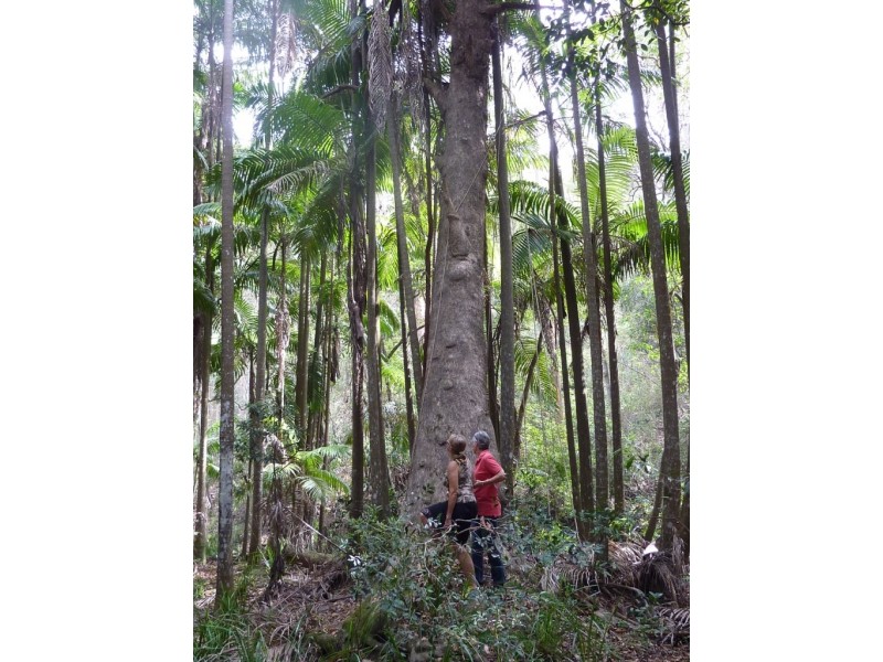 308 – 310 Avalon Road, Sheldon QLD 4157