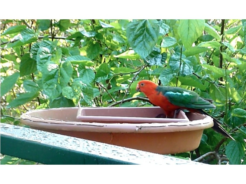 308 – 310 Avalon Road, Sheldon QLD 4157