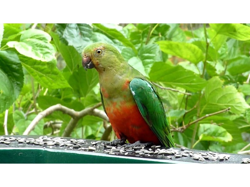 308 – 310 Avalon Road, Sheldon QLD 4157