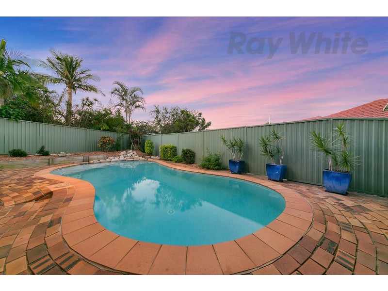 11 Darnell Street, Sunnybank Hills QLD 4109