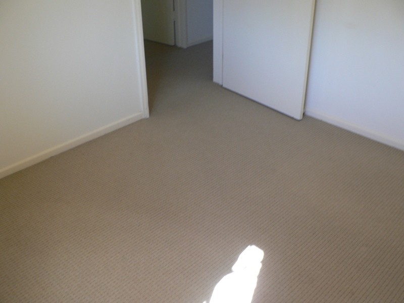 61 Arcoona Street, Sunnybank QLD 4109