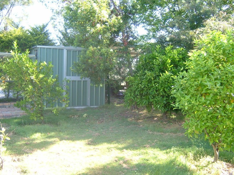 19 Ditton Road, Sunnybank Hills QLD 4109