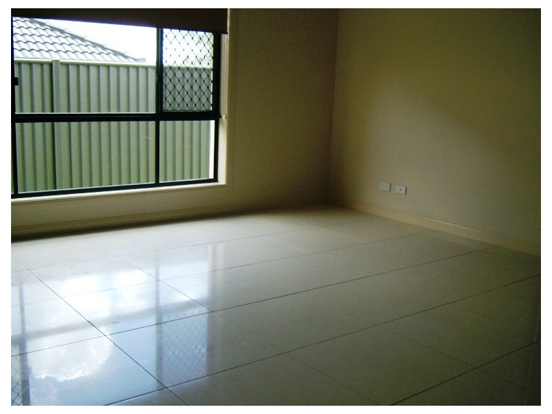 19 Collett Street, Eight Mile Plains QLD 4113