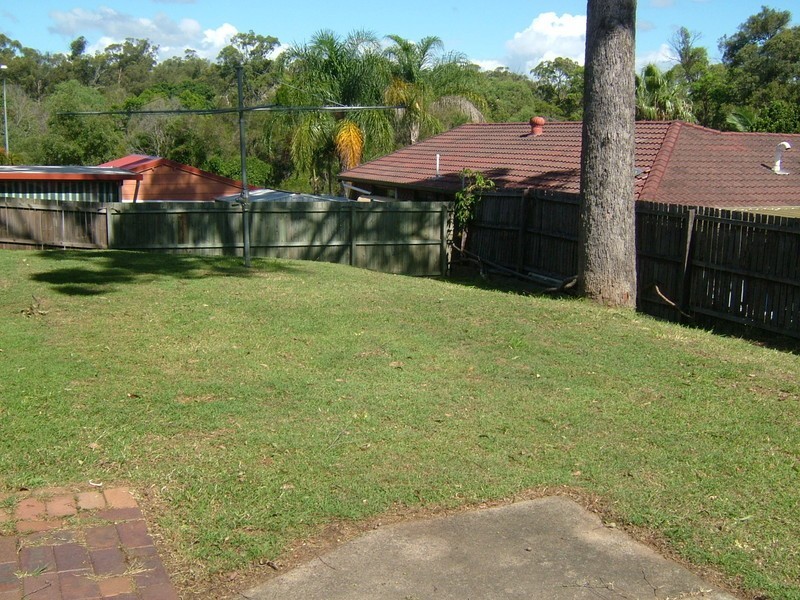 3 Blackbean St, Sunnybank Hills QLD 4109