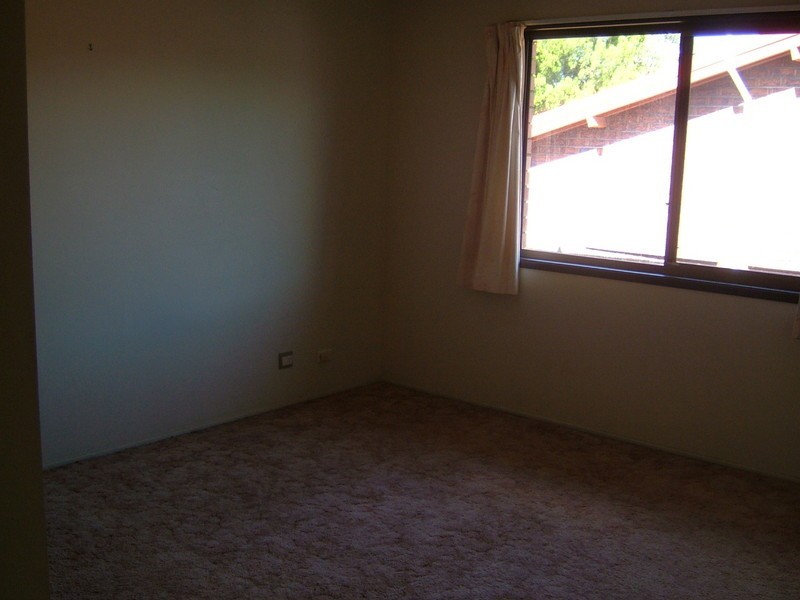 3 Blackbean St, Sunnybank Hills QLD 4109