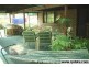 740 Wembley Road, Browns Plains QLD 4118