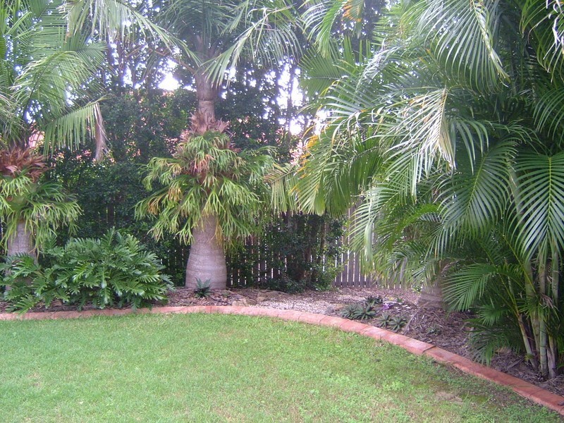 3 Daffodil Place, Runcorn QLD 4113