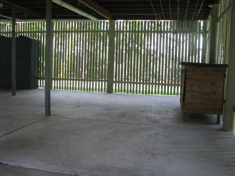 19 Evenwood Street, Coopers Plains QLD 4108