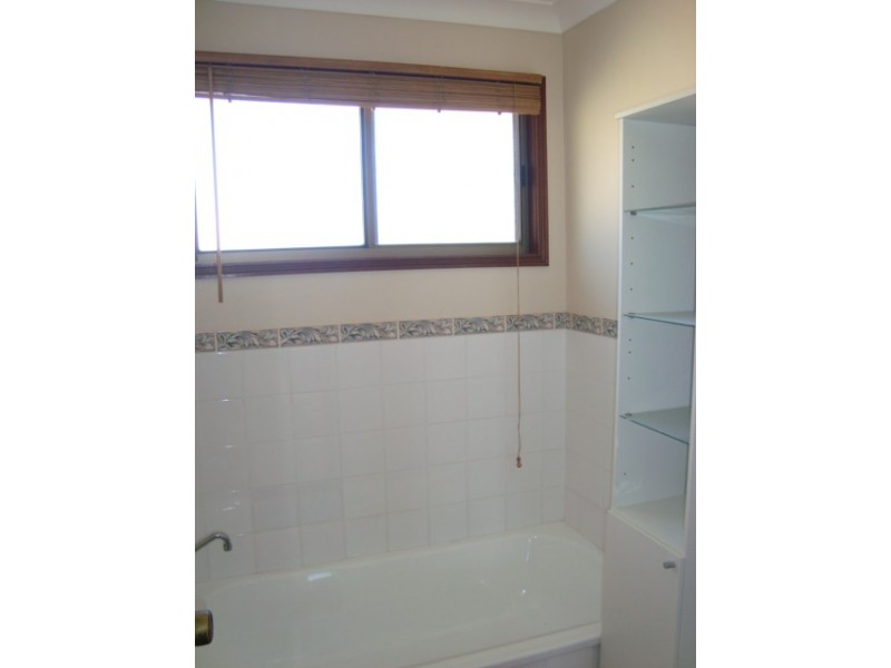 20 ALSTONIA ST, Algester QLD 4115