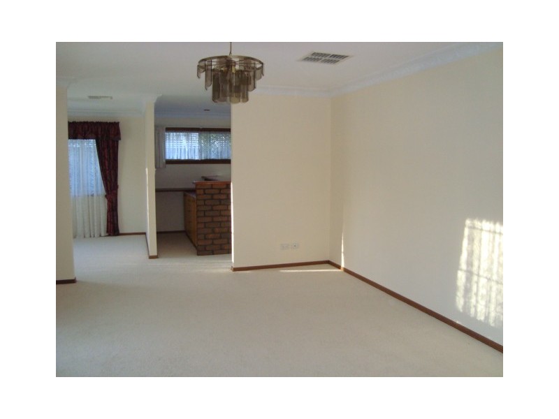 8 RADIATA STREET, Sunnybank Hills QLD 4109