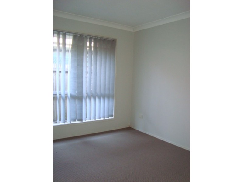 16 Neath Street, Sunnybank Hills QLD 4109