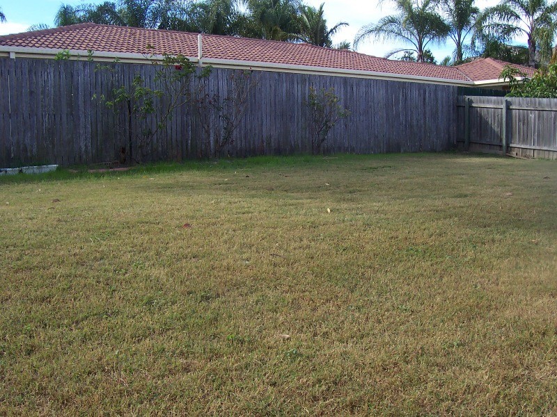 64 Solandra Crescent, Calamvale QLD 4116