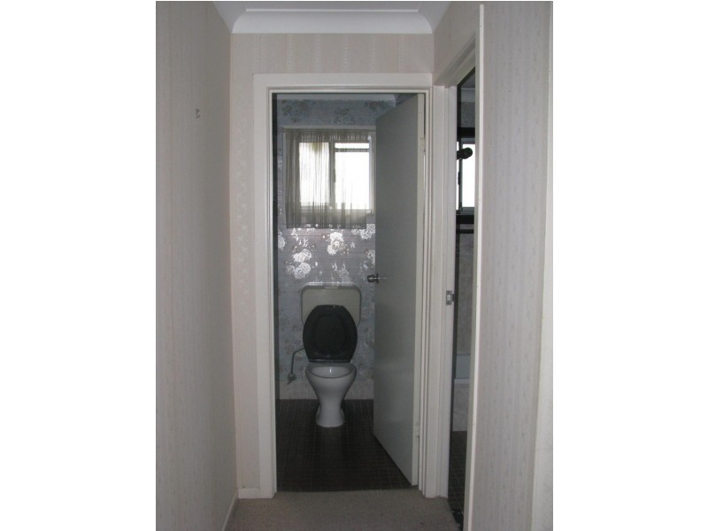 3 GREENLEAF STREET, Sunnybank Hills QLD 4109