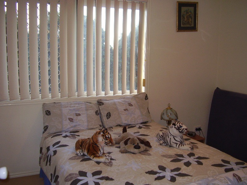 19 Chesterfield Street, Kuraby QLD 4112