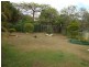 24 GONZALES ST, Macgregor QLD 4109