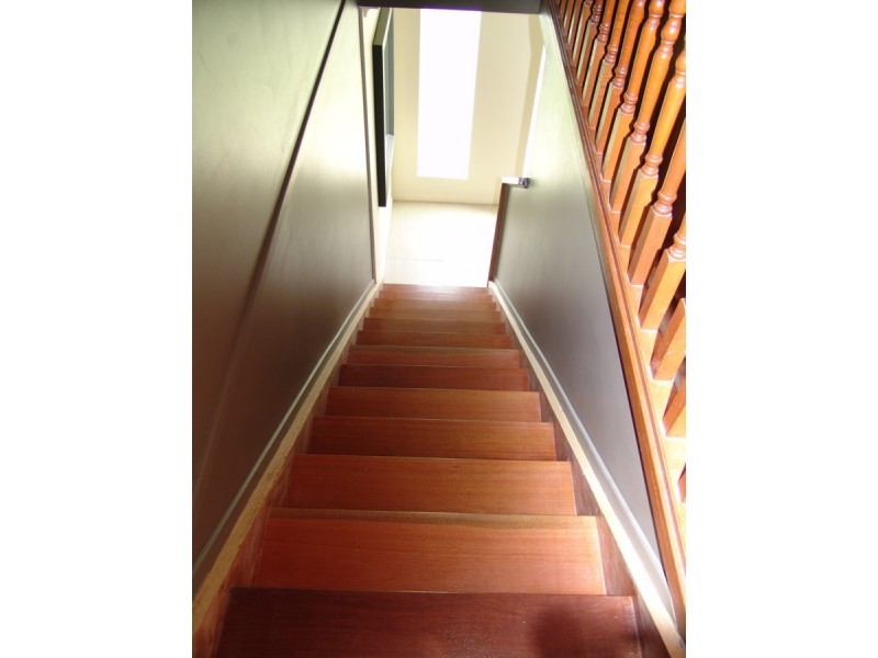 14 Ravenala Street, Sunnybank Hills QLD 4109