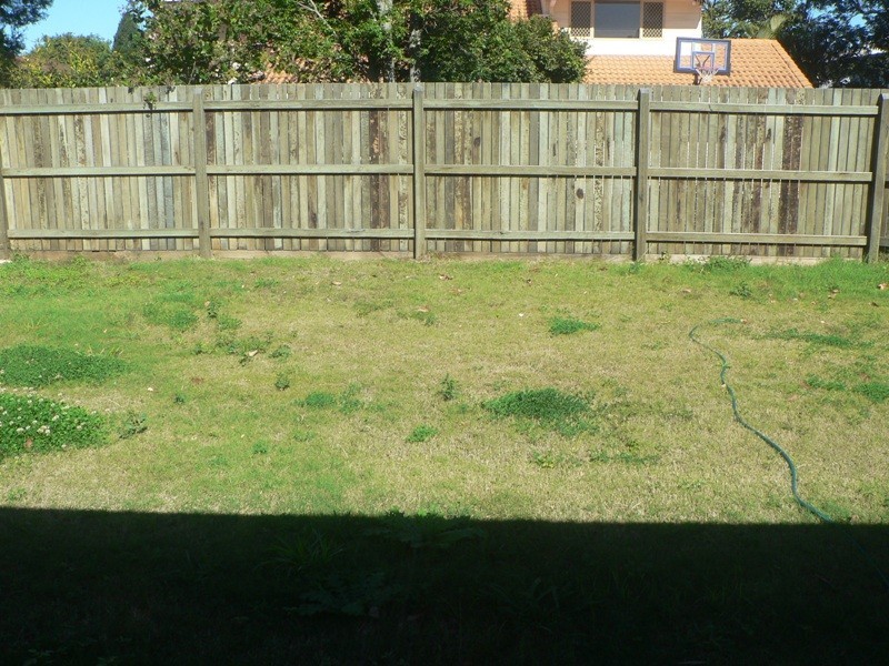 41 Chilton Street, Sunnybank Hills QLD 4109