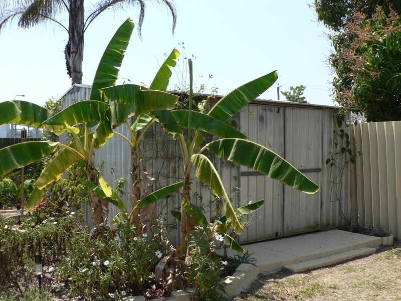 12 Alpita Street, Kuraby QLD 4112