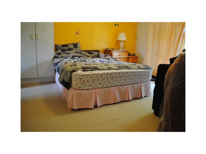 67 Muscari Crescent, Drewvale QLD 4116