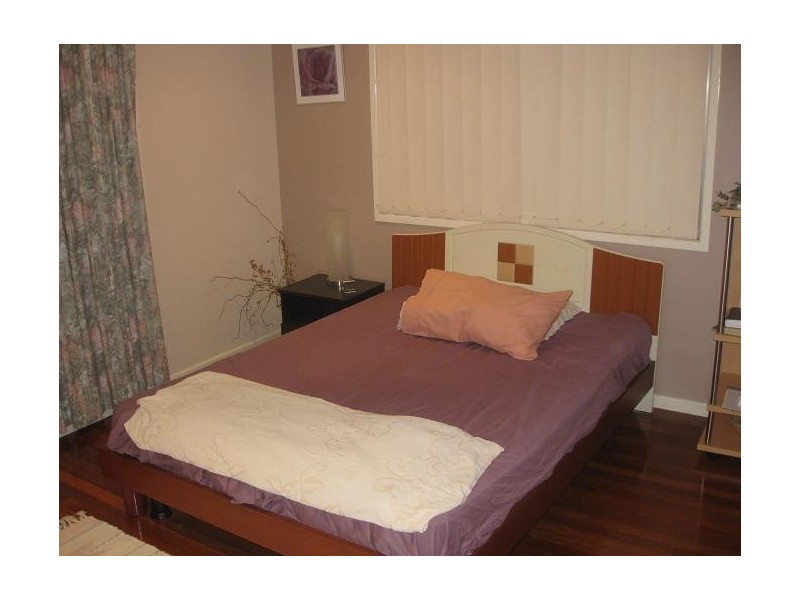 15 Christopher Street, Sunnybank Hills QLD 4109