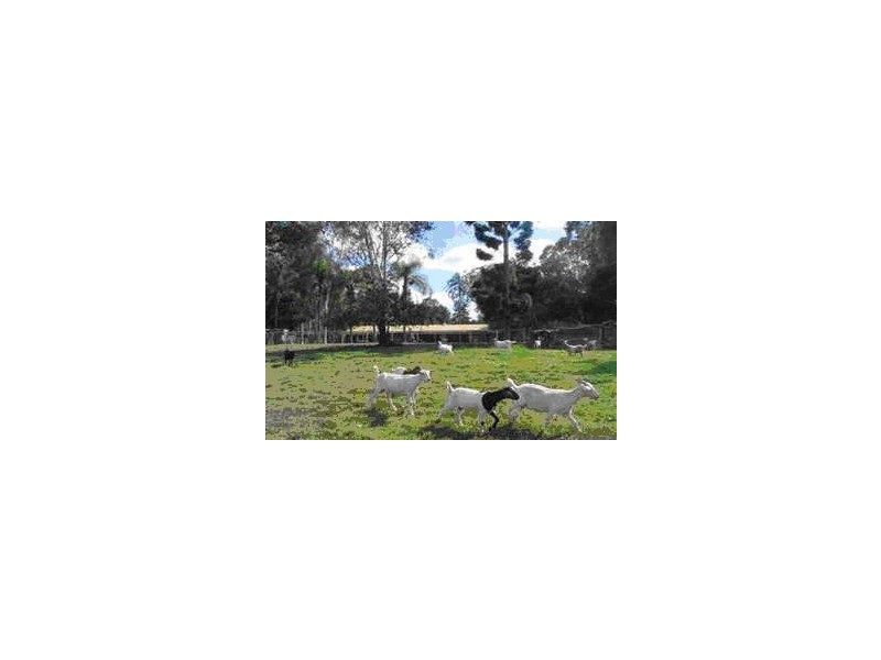 131 Rosia Road, Park Ridge South QLD 4125