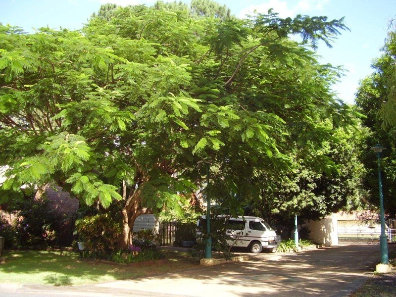 3 Trudgian Street, Sunnybank QLD 4109