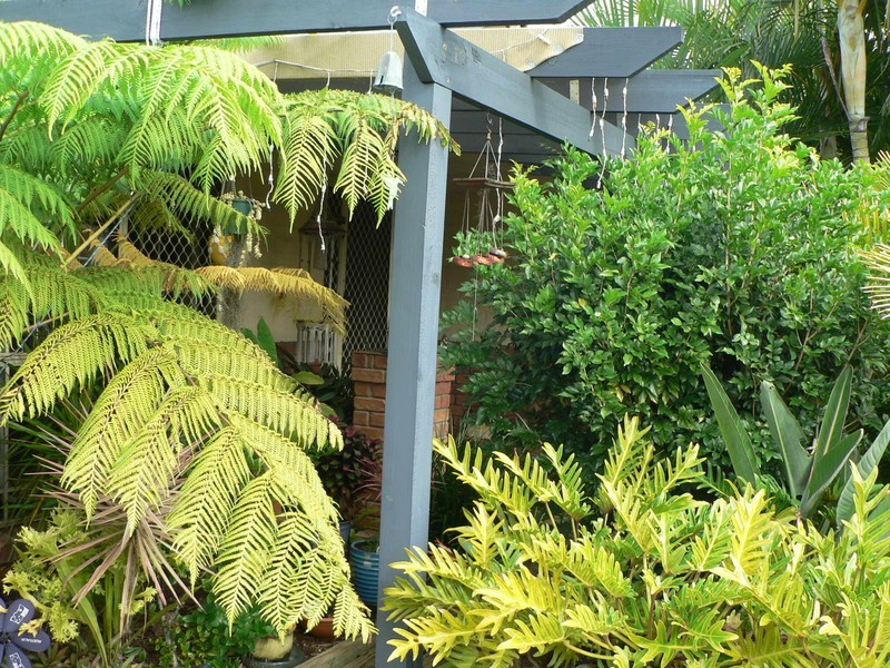 82 Mitchell Street, Acacia Ridge QLD 4110