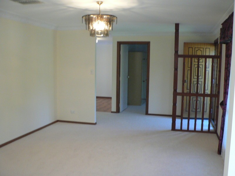 8 Radiata Street, Sunnybank Hills QLD 4109