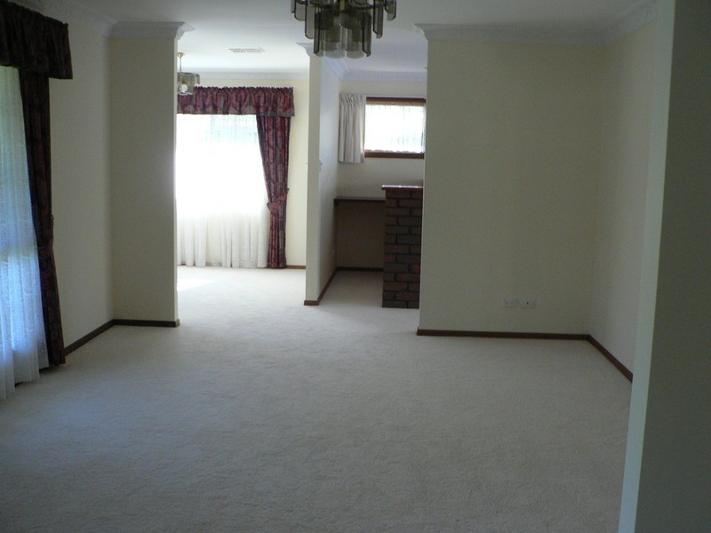 8 Radiata Street, Sunnybank Hills QLD 4109