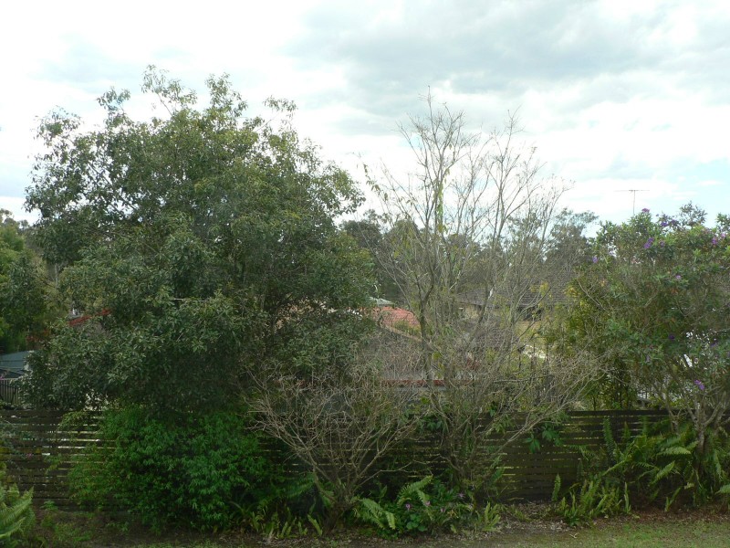 26 Vanessa Street, Sunnybank QLD 4109