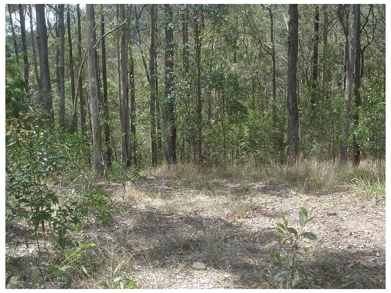 Lot 28 Solomon Lane, Wongawallan QLD 4210