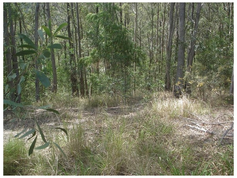 Lot 28 Solomon Lane, Wongawallan QLD 4210
