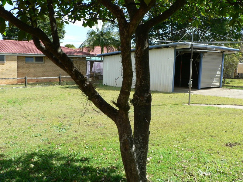 41 Valhalla Street, Sunnybank QLD 4109