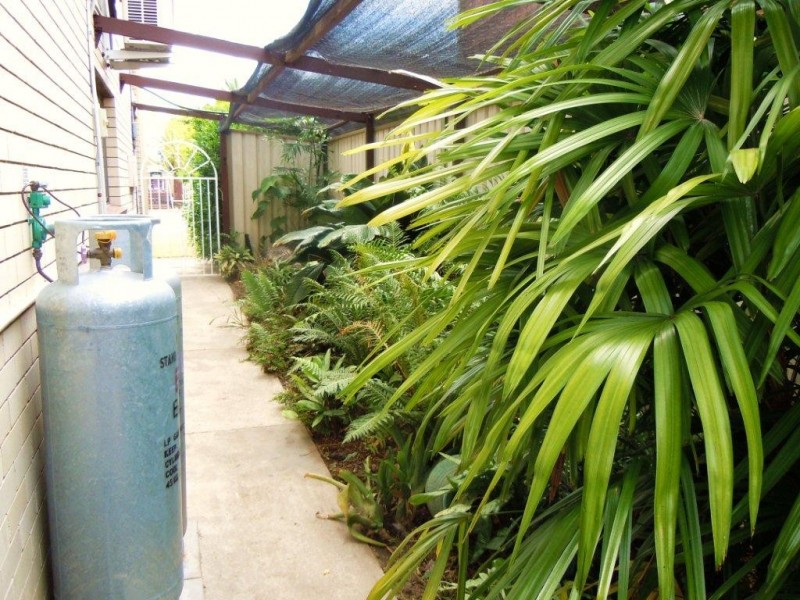 35 Peppercorn Street, Sunnybank Hills QLD 4109