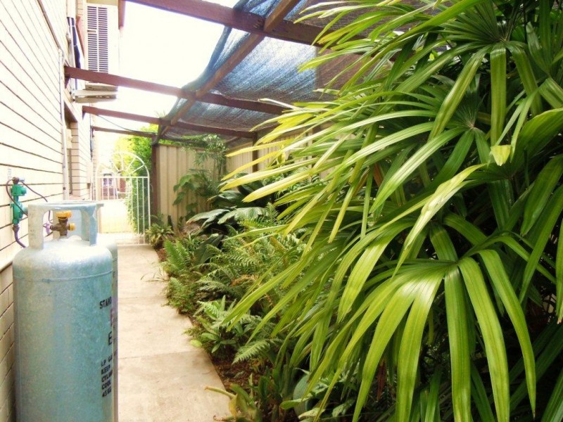 35 Peppercorn Street, Sunnybank Hills QLD 4109