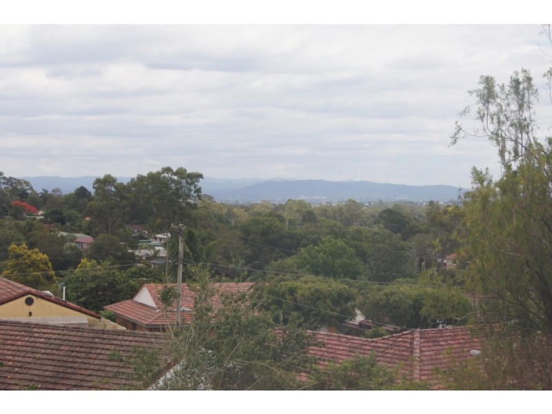 67 Wynne Street, Sunnybank Hills QLD 4109