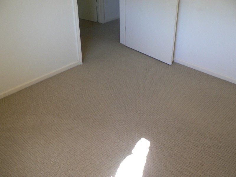 61 Arcoona Street, Sunnybank QLD 4109