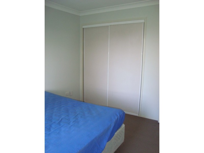 16 Neath Street, Sunnybank Hills QLD 4109