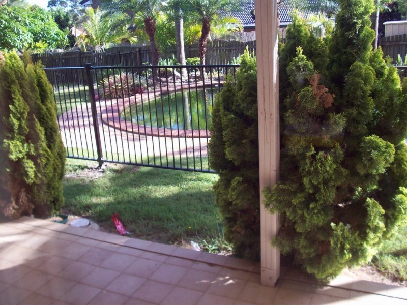 10 McKinley Court, Stretton QLD 4116