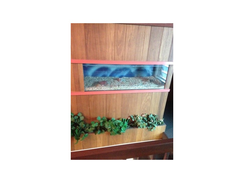 4 Pallaranda Street, Tarragindi QLD 4121